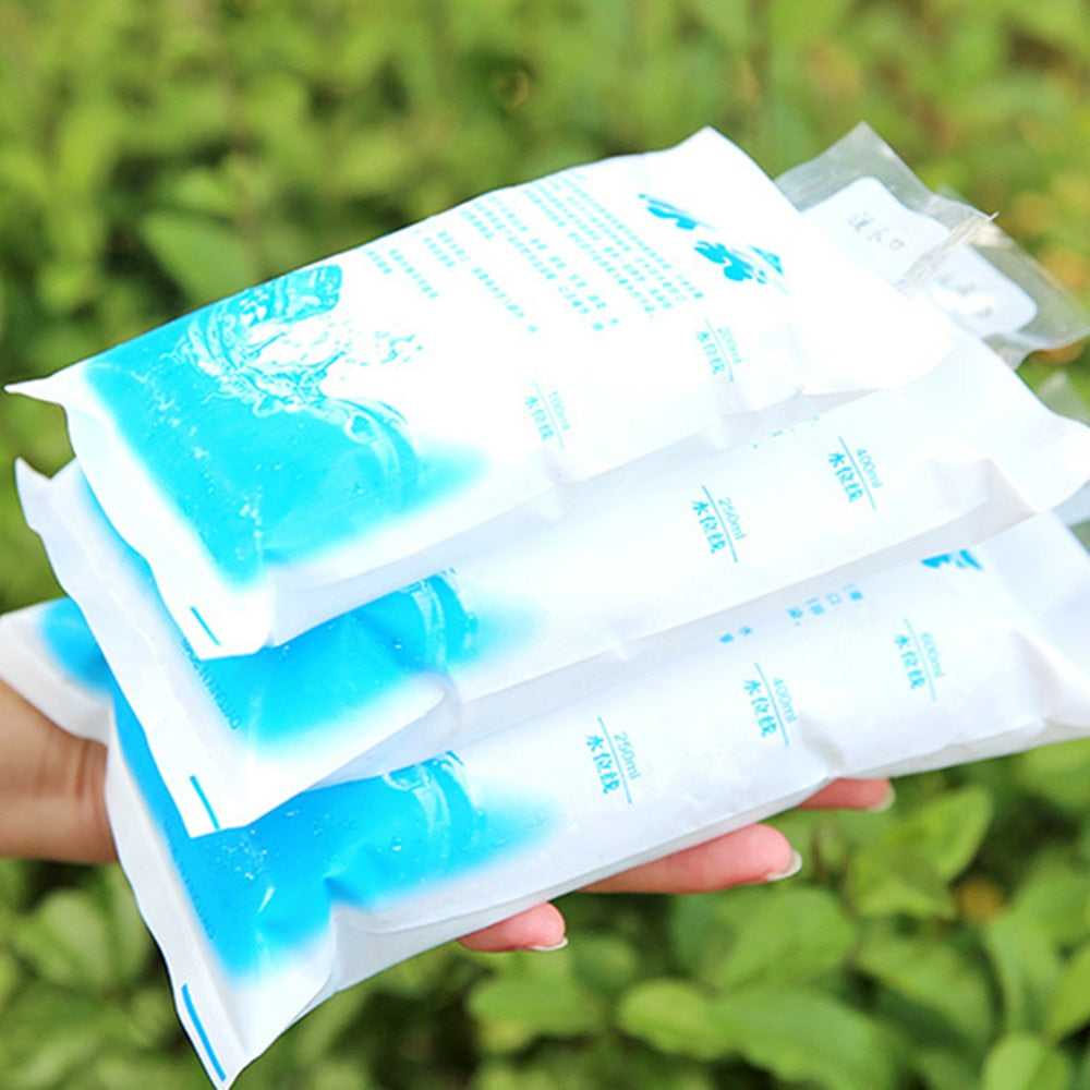 10 Pieces Dry Cold Ice Pack Cooler Bag