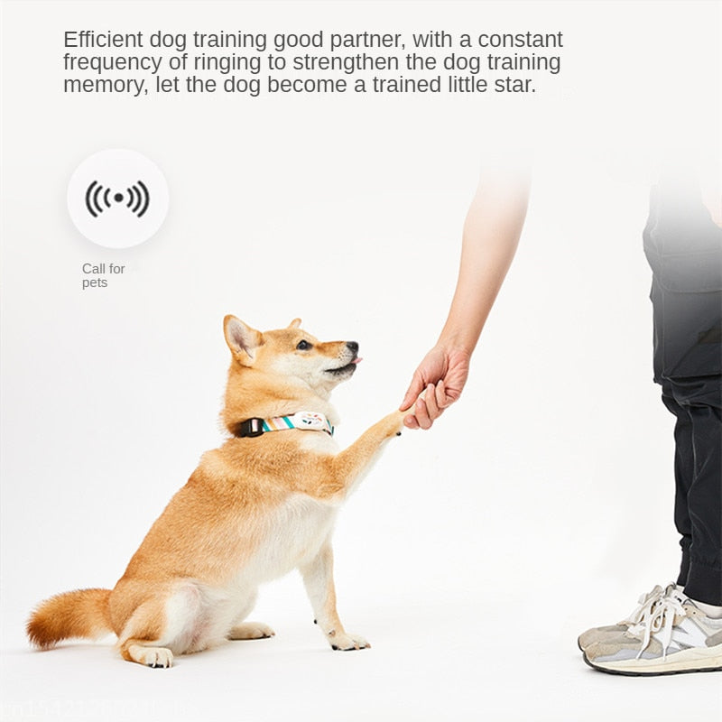 Smart Personalized Pet Collars